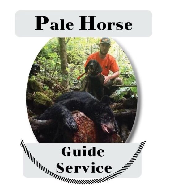 Pale Horse Guide Service